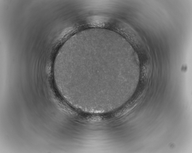 X0000093620600200711121237