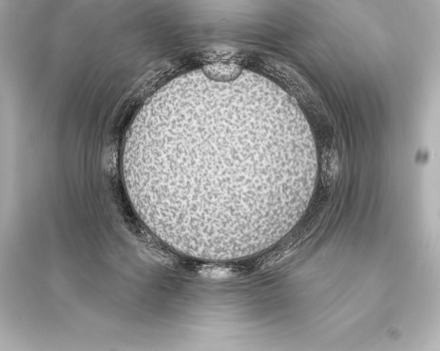 X0000093620602200711121237