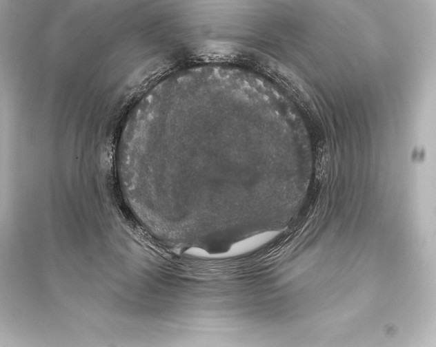 X0000093620604200711121237