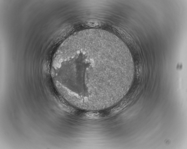 X0000093620606200711121237