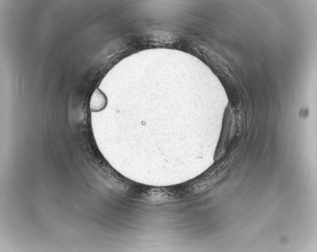 X0000093620608200711121237