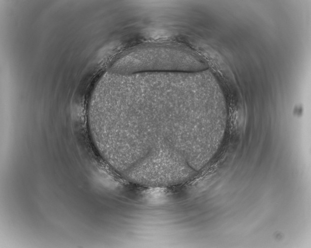 X0000093620609200711121237