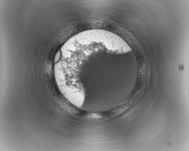 X0000093620610200711121237