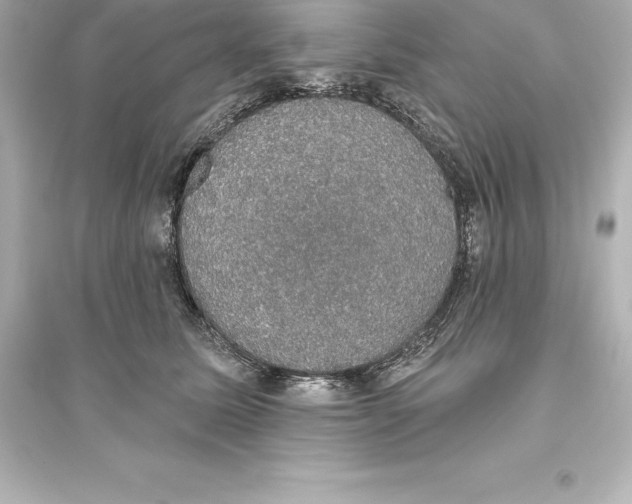 X0000093620611200711121237