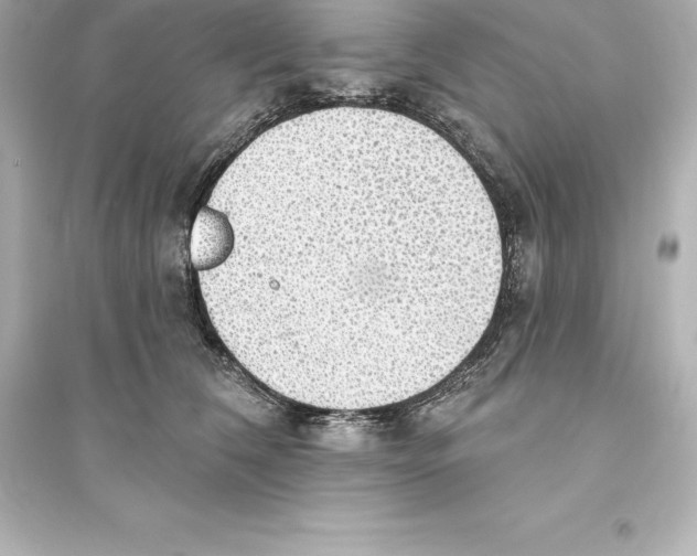 X0000093620612200711121237