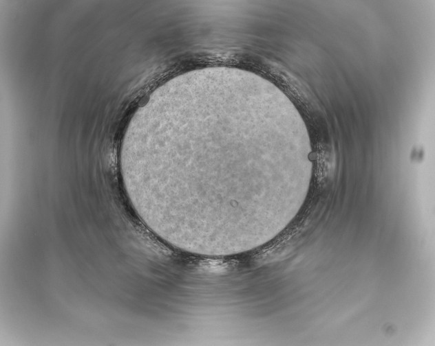 X0000093620613200711121237