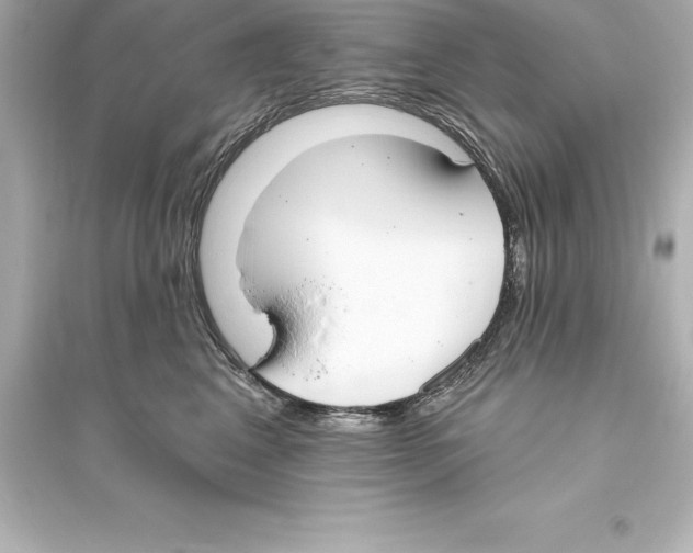 X0000093620617200711121237