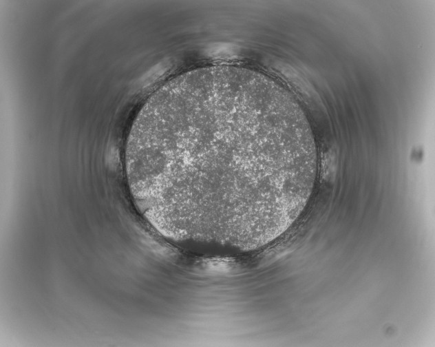 X0000093620618200711121237