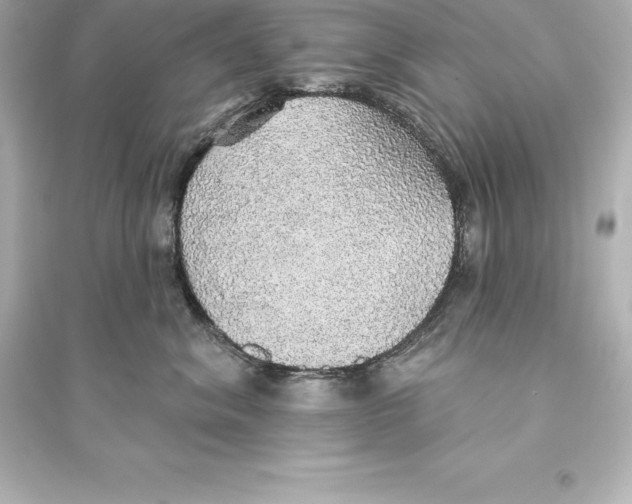 X0000093620620200711121237