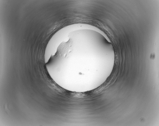 X0000093620621200711121237