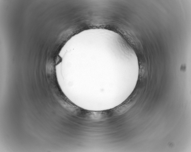 X0000093620623200711121237