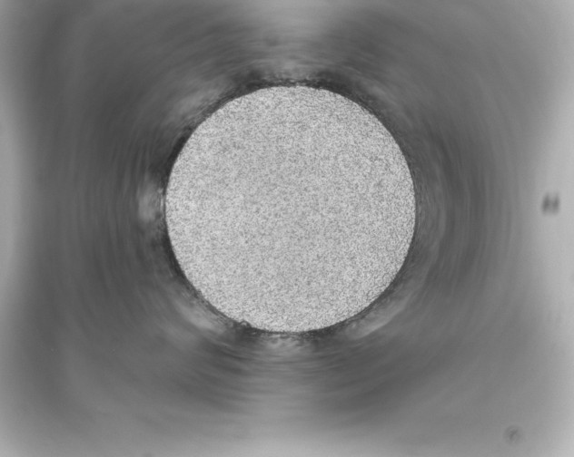 X0000093620624200711121237