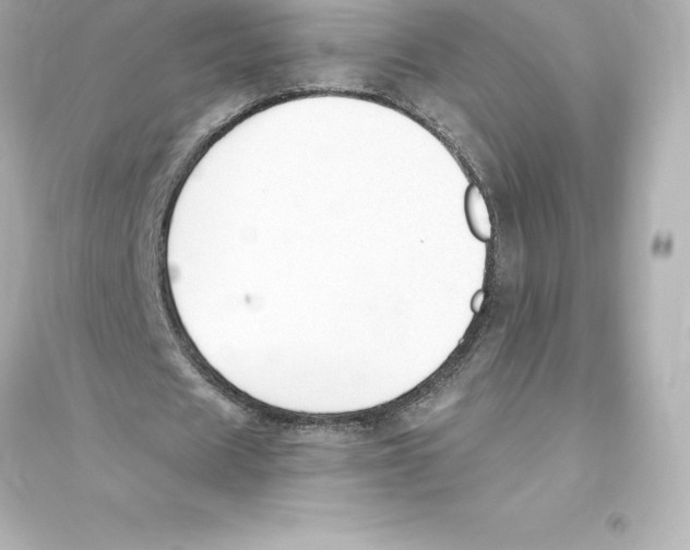 X0000093620625200711121236