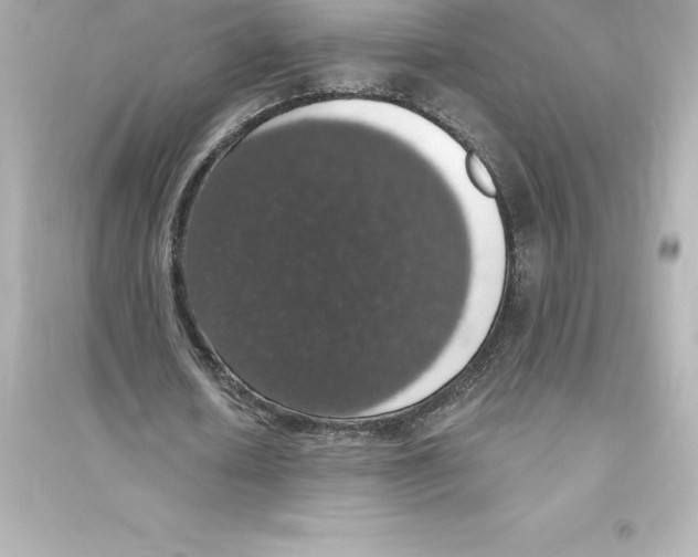 X0000093620626200711121236