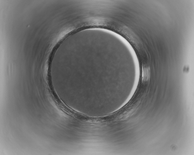 X0000093620627200711121236