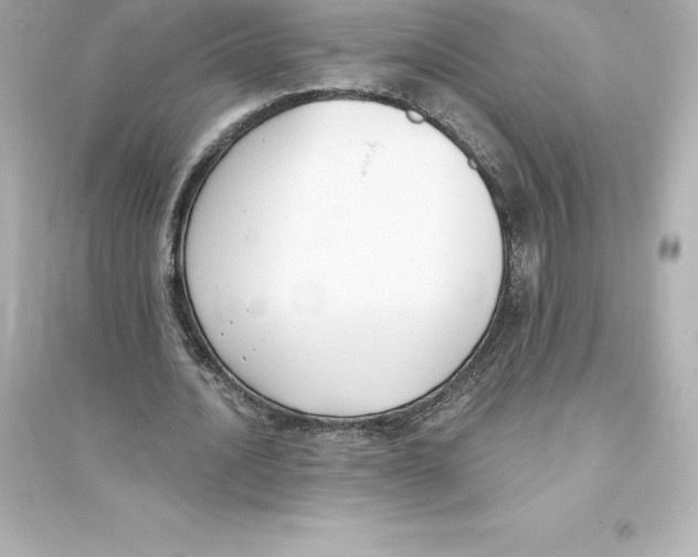 X0000093620628200711121236