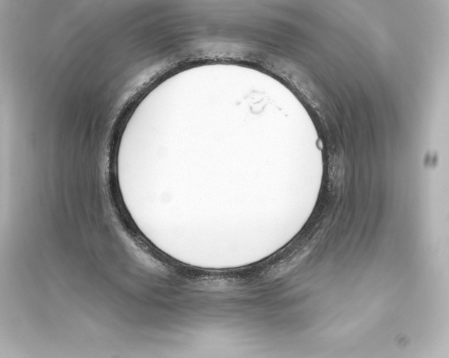 X0000093620629200711121236