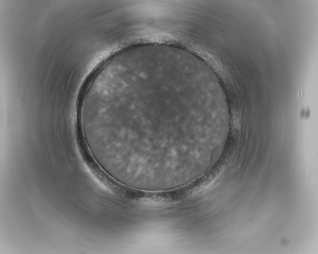 X0000093620630200711121236