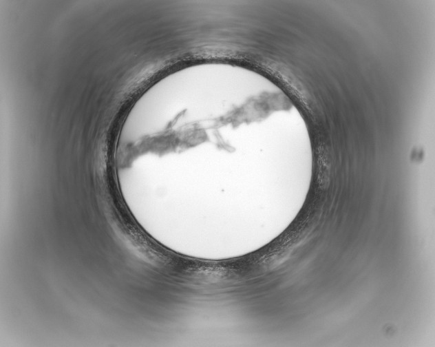 X0000093620631200711121236