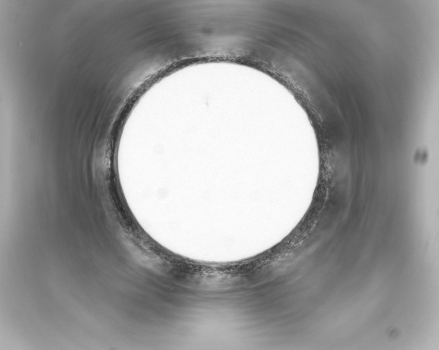 X0000093620632200711121236