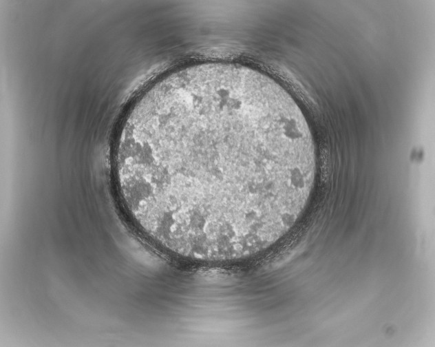 X0000093620634200711121236