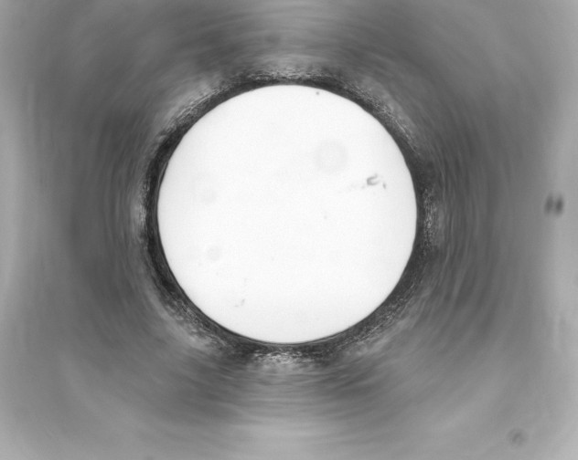 X0000093620635200711121236