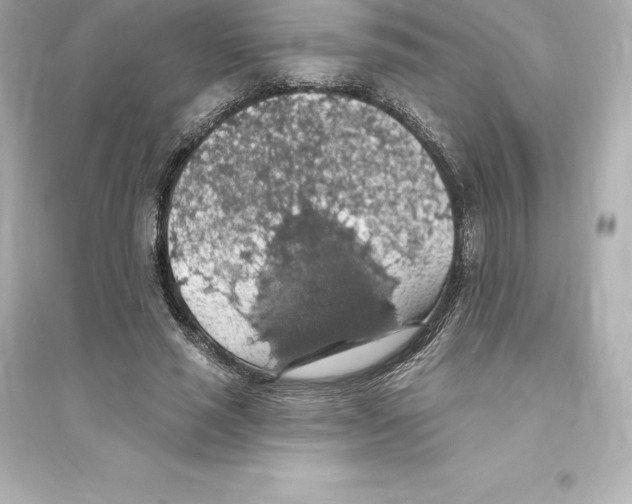 X0000093620637200711121236