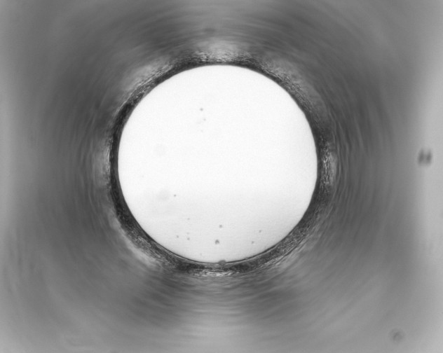 X0000093620638200711121236