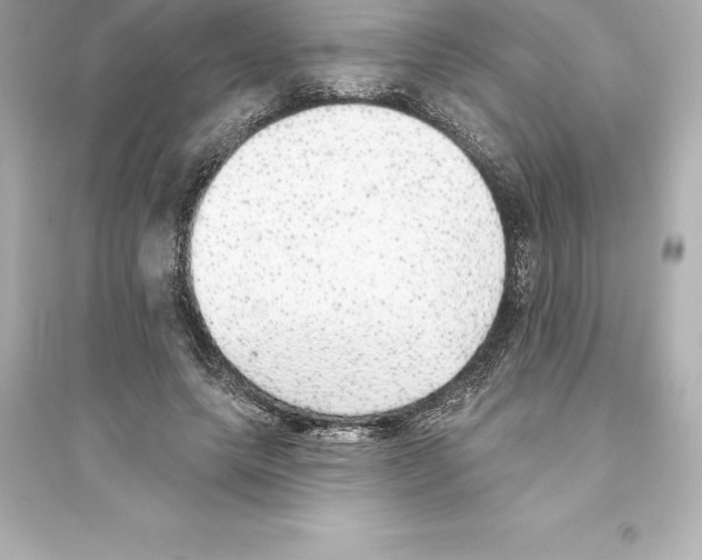 X0000093620639200711121236