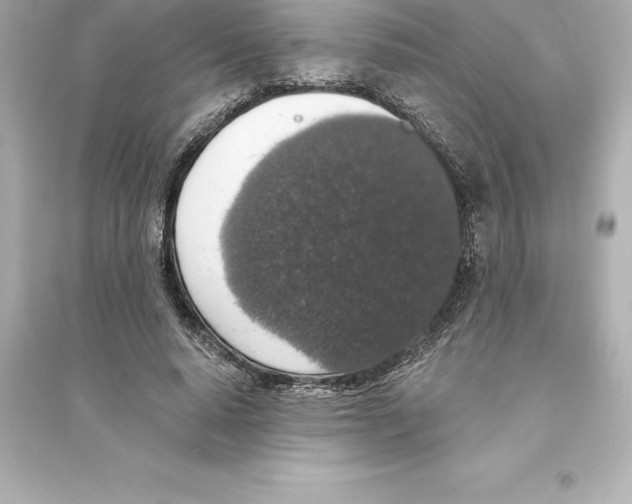 X0000093620640200711121236