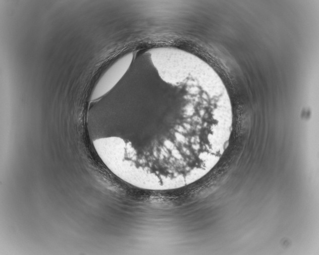 X0000093620641200711121236