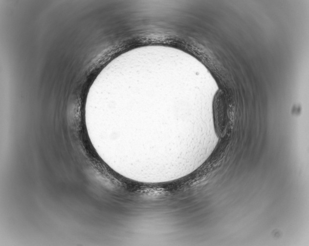 X0000093620642200711121236