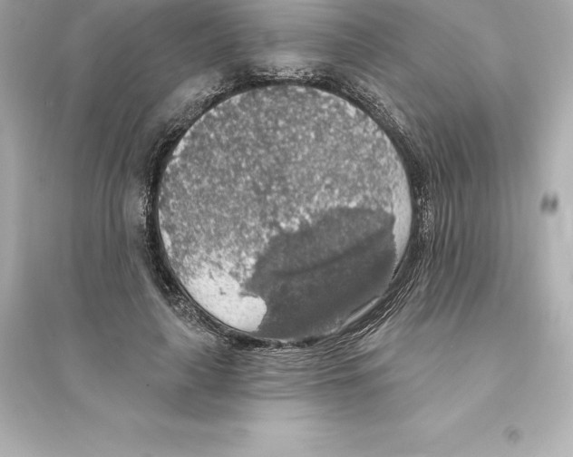 X0000093620643200711121236