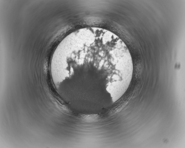 X0000093620644200711121236