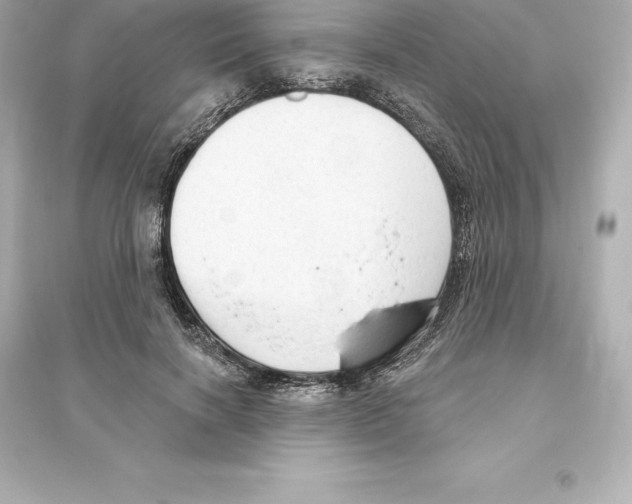 X0000093620646200711121236