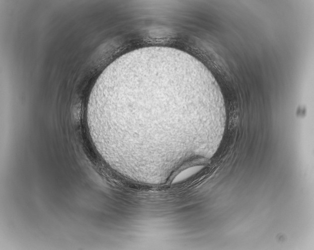 X0000093620647200711121236