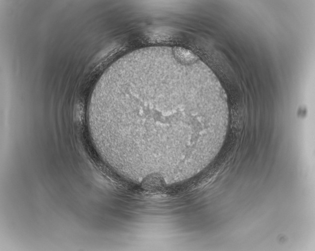 X0000093620648200711121236