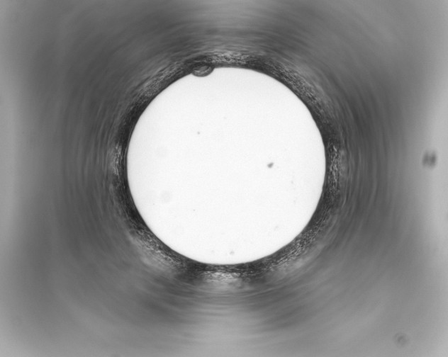 X0000093620649200711121236