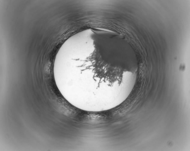 X0000093620650200711121236