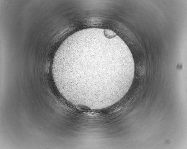 X0000093620652200711121236