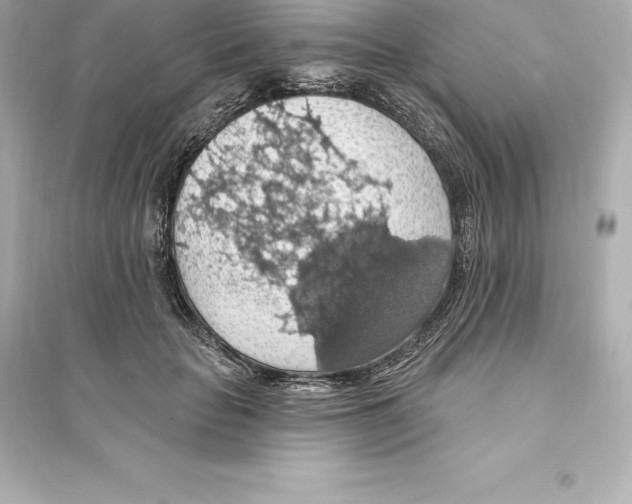 X0000093620653200711121236