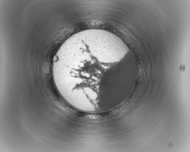 X0000093620654200711121237