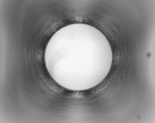 X0000093620656200711121237