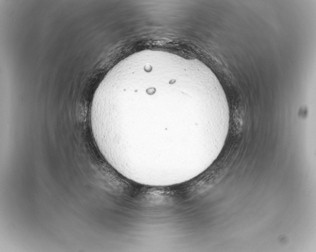 X0000093620657200711121237