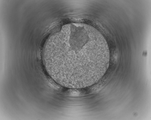 X0000093620658200711121237