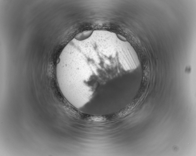 X0000093620659200711121237