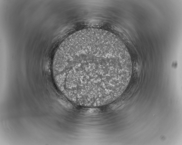 X0000093620663200711121237