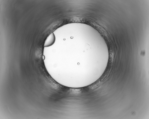 X0000093620665200711121237