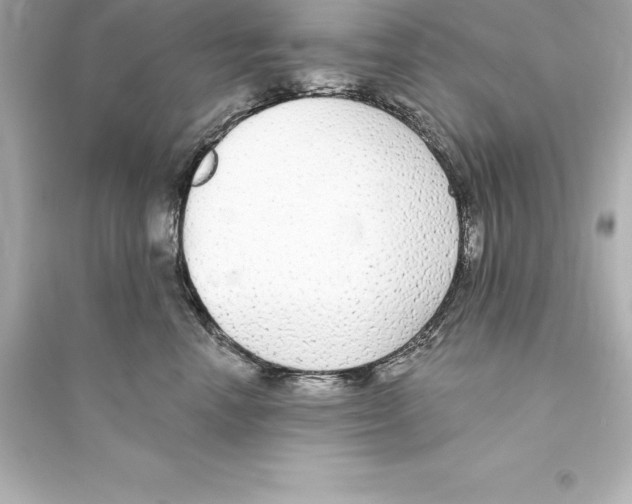 X0000093620666200711121237