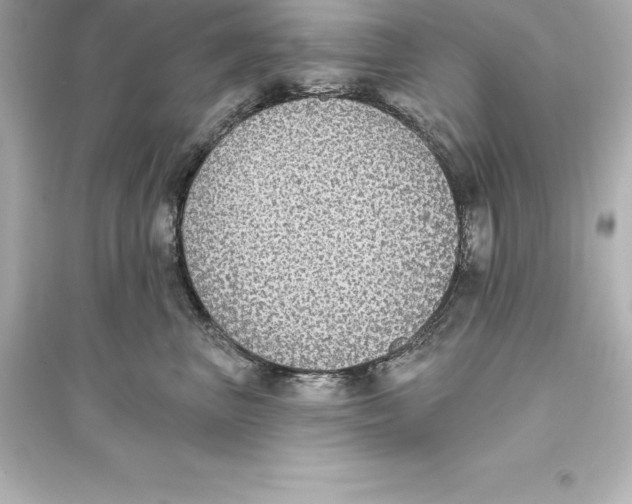 X0000093620667200711121237